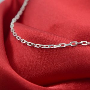 Cadena de Plata Forcé 60cm